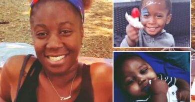 Bronx Mom, Dimone Brenda Fleming Suspected Of Stabbing Young Sons To Death ‘Thought The Kids Were Devils’