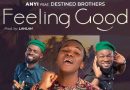 Anyi Ft Destined Brothers - Feeling Good (Music Download)
