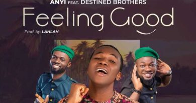 Anyi Ft Destined Brothers - Feeling Good (Music Download)